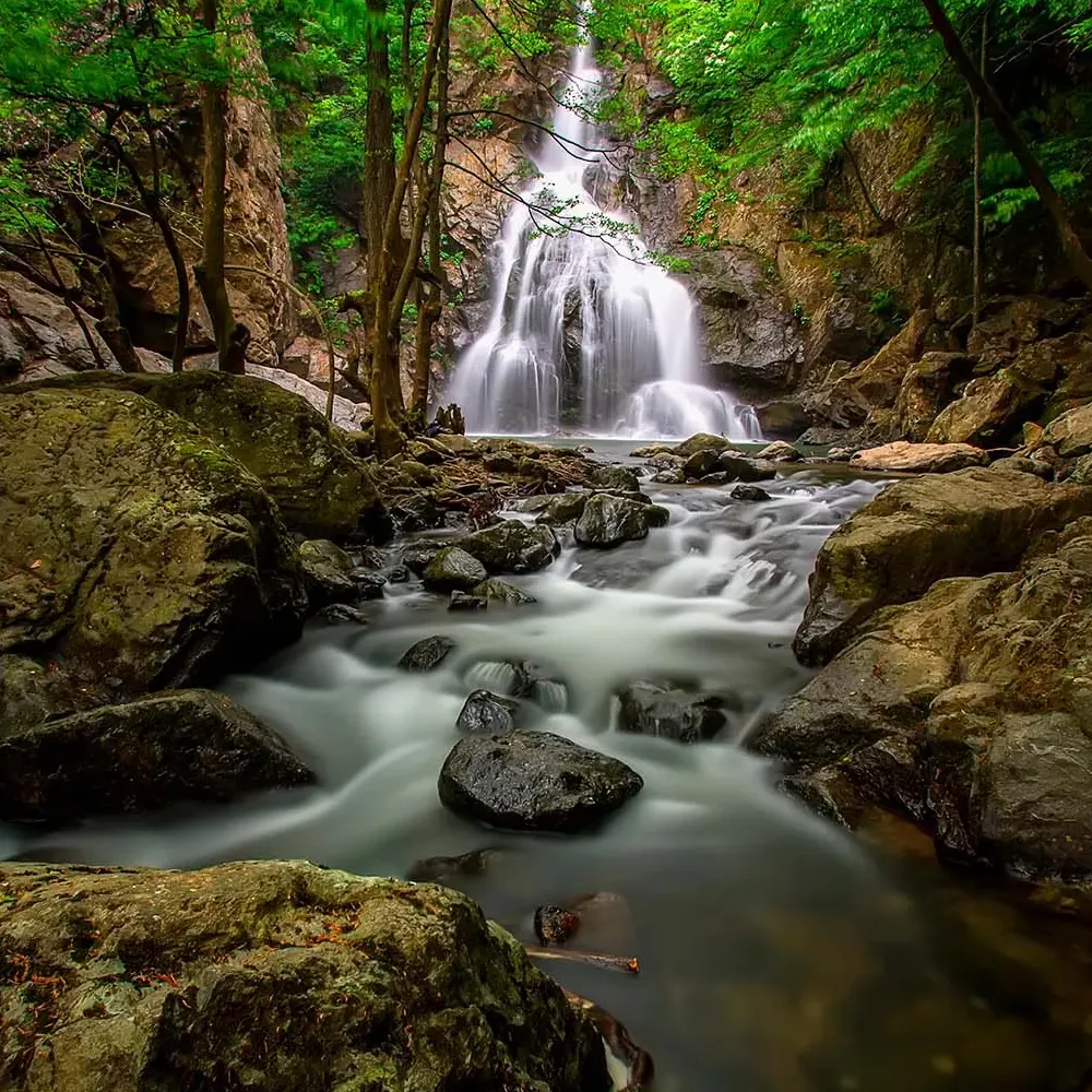 يالوفا والحمامات الكبريتية